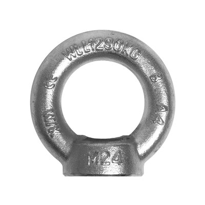 Stainless steel lifting eye nut DIN 582